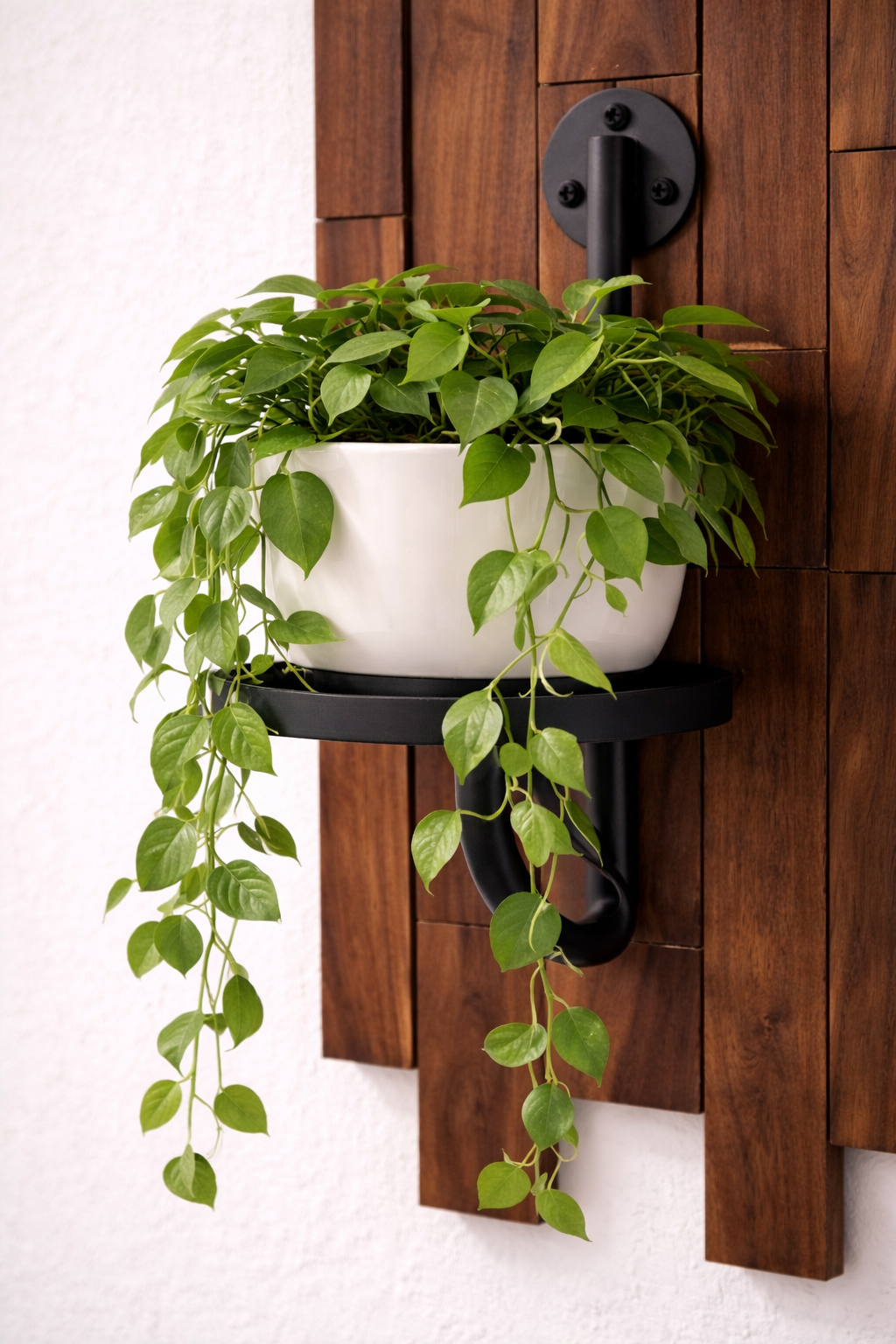 Teak Slatted Wall Planter with Matte Black Bracket